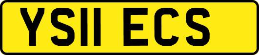 YS11ECS