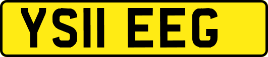 YS11EEG