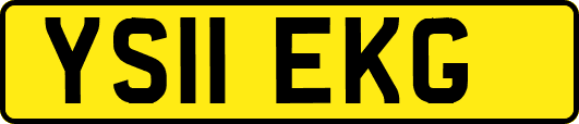 YS11EKG