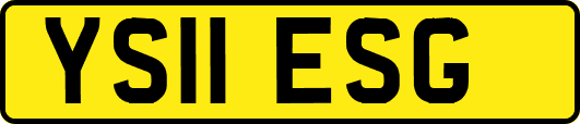 YS11ESG