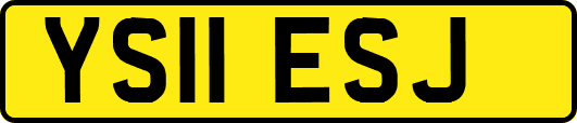 YS11ESJ