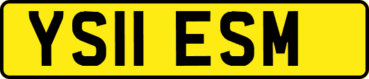 YS11ESM