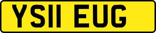YS11EUG