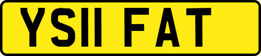 YS11FAT