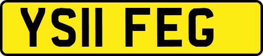 YS11FEG