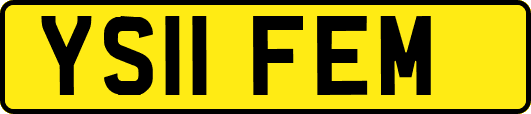 YS11FEM
