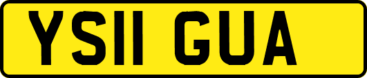 YS11GUA