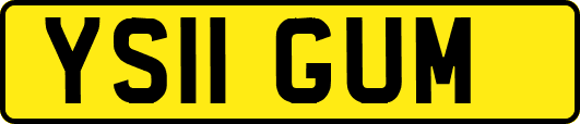 YS11GUM