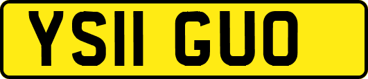 YS11GUO
