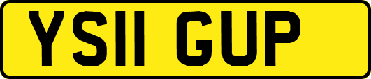YS11GUP
