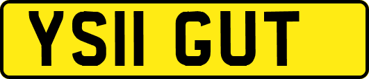 YS11GUT