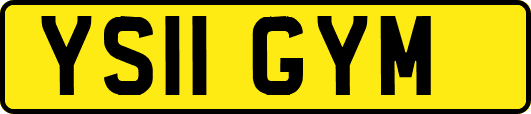 YS11GYM