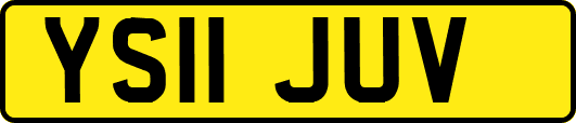 YS11JUV