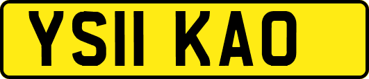 YS11KAO
