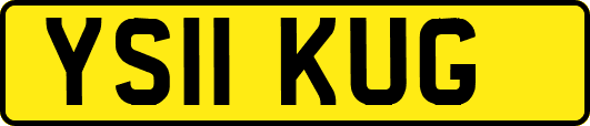 YS11KUG