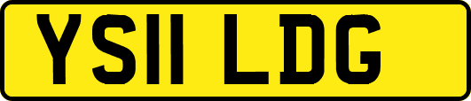 YS11LDG