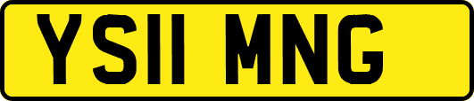 YS11MNG