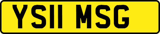 YS11MSG