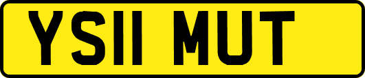 YS11MUT