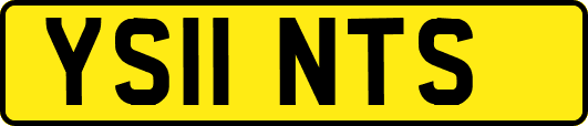YS11NTS