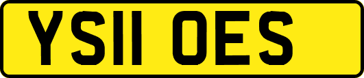 YS11OES