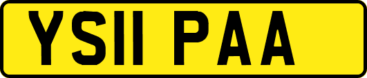 YS11PAA