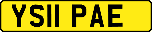 YS11PAE