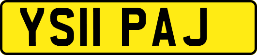 YS11PAJ