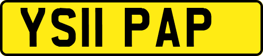 YS11PAP