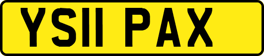 YS11PAX