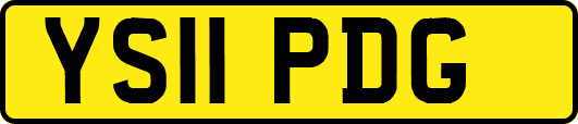 YS11PDG