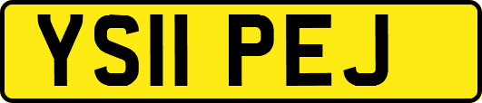 YS11PEJ