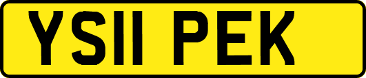 YS11PEK