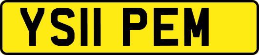 YS11PEM