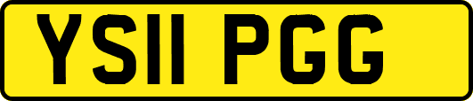 YS11PGG