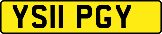 YS11PGY