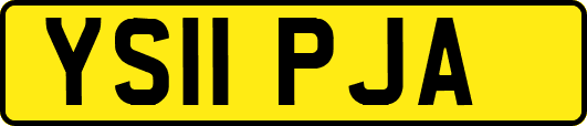 YS11PJA