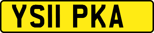 YS11PKA