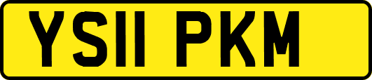 YS11PKM