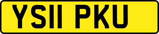 YS11PKU