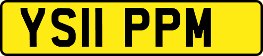YS11PPM