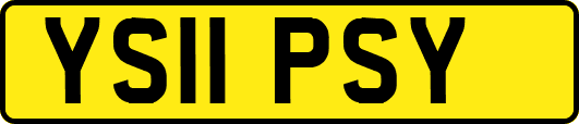 YS11PSY