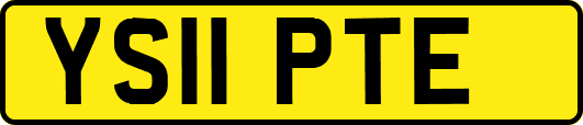 YS11PTE