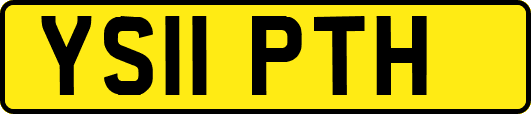YS11PTH
