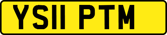 YS11PTM