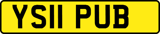 YS11PUB