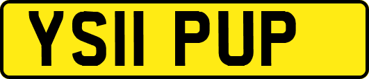 YS11PUP