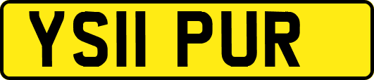 YS11PUR