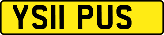 YS11PUS