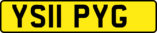 YS11PYG